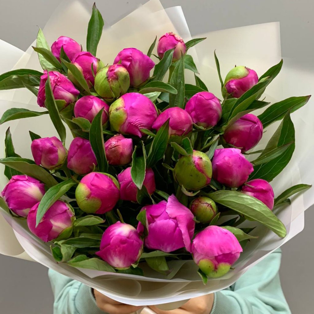 25 пионов
